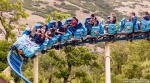 Amusement Park's Roller Coasters